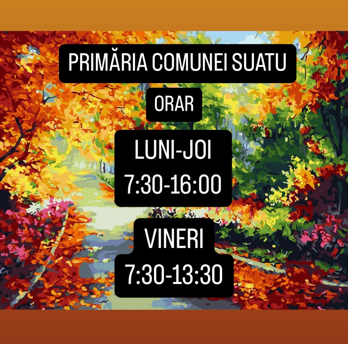 ORAR PRIMARIE